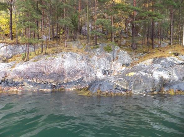 Figur 1 Båtfeste med tau og dekk Figur 2 Båtfeste der tau og dekk er fjerna Lovgrunnlaget Føremålet med freding av Bleia naturreservat er «å sikre ein lokalitet med urvalmue (Papaver radicatum ssp.