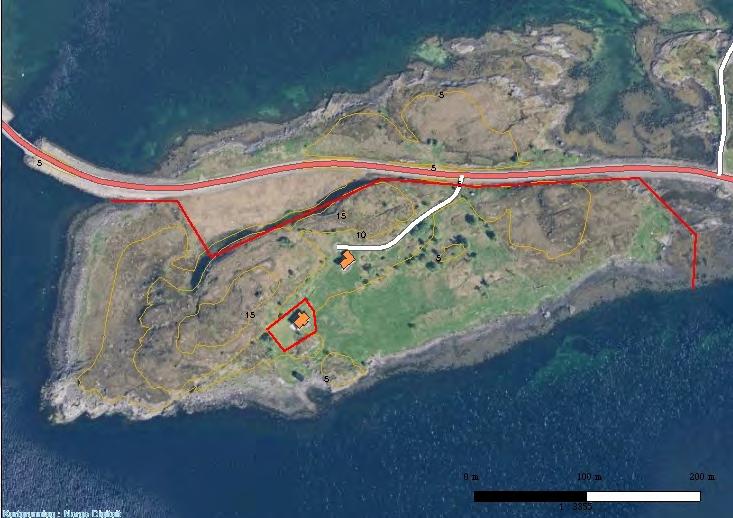 Figur 1.1. Flyfoto av Litl-Lauvøya, med inntegnet vegnett, tatt fra Norge digitalt.