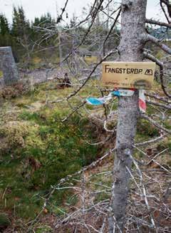 kulturminneloven. I tillegg skal det også tas hensyn til andre kjente og verdifulle kulturminner. Det er skogeiers ansvar å gjøre seg kjent med hva som er registrert av kulturminner i skogen, jfr.