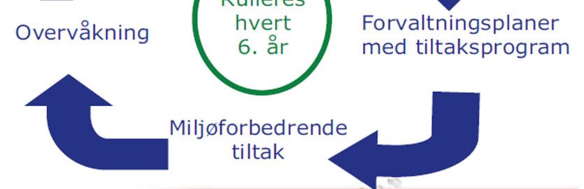 Dersom en vannforekomst utnyttes til kraftproduksjon eller er utsatt for andre fysiske inngrep for samfunnsnyttige formål, kan vannforekomsten klassifisere som sterkt modifisert.