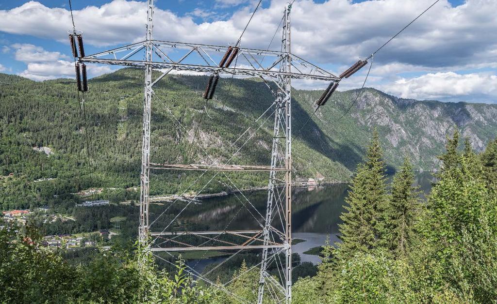 Eksisterende- eller planlagte overføringslinjer og omformingsanlegg for kraft med gyldig anleggskonsesjon i regional- og sentralnettet, samt konsesjonsgitte eller meldte/varslede