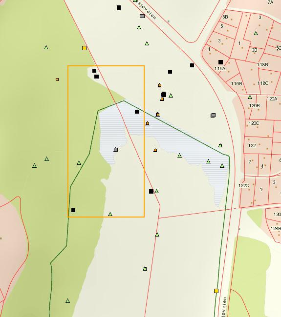 Figur 5: I selve tiltaksområdet (gult rektangel) ligger det ikke inne registrerte truede arter, artene