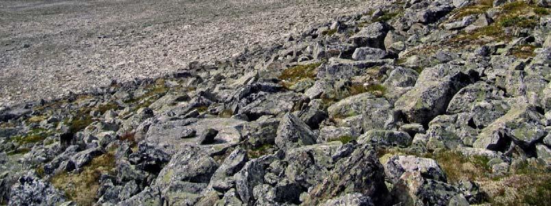 mindre steiner (må være tydelige) og naken (men ikke menneskepåvirket) jord.