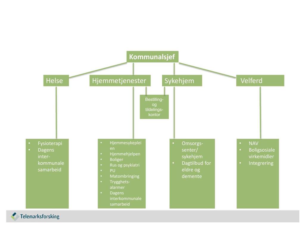 Organisasjonskart Helse, omsorg og velferd alt.