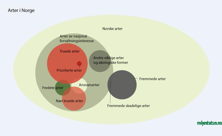 Arter av nasjonal forvaltningsinteresse Viser kartlagte forekomster av arter som Miljødirektoratet anser for å ha nasjonal forvaltningsinteresse.