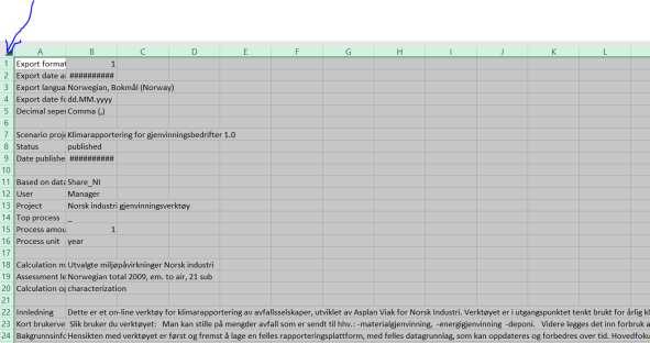 RAPPORTMAL EXCEL Marker alt på fanen ved