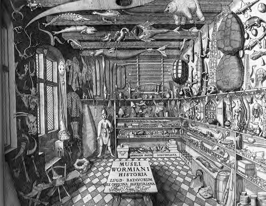 Fig. 8. Ole Worms kabinett med naturalier og artefakter slik det er gjengitt i Museum Wormianum, utgitt i 1655.