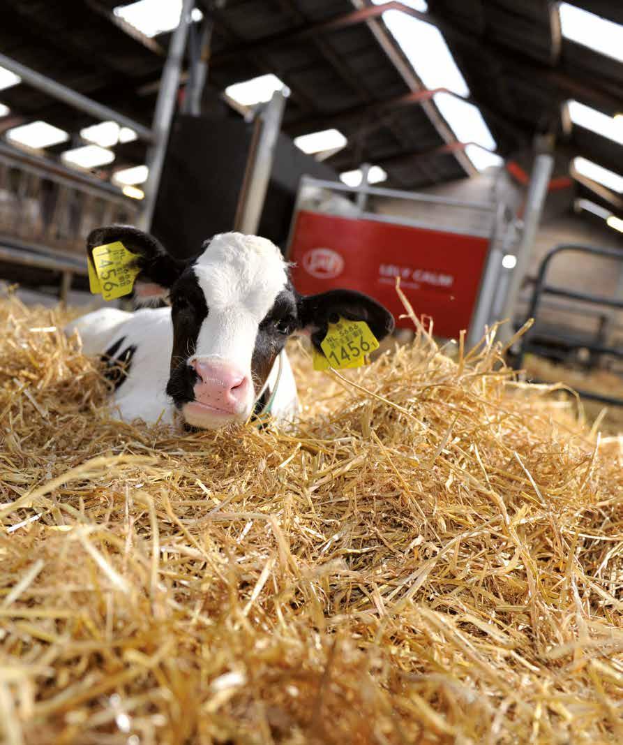 Bærekraftighets-aspekter spiller en stadig viktigere rolle i melkeproduksjon. Dyrehelse og dyrevelferd blir stadig viktigere.