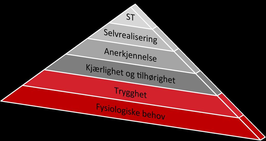 Hva trenger vi?