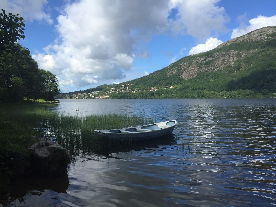 Tiltaksovervåkning av innsjøer og elver i Jæren vannområde 2016 Dybingen, Foto: Nina