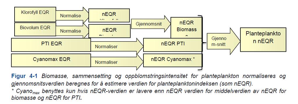 Resultater; klassifisering av fytoplankton Fytoplankton Vannforekomst Vanntype Klorofyll a Biovolum PTI Cyano-max Totalt Status