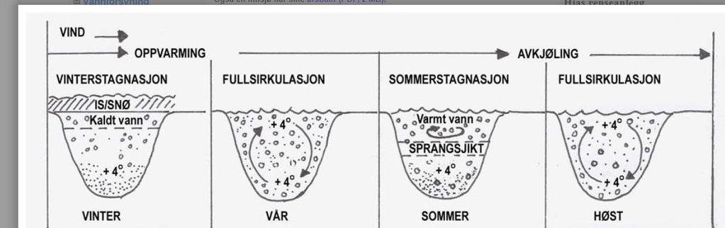 Vertikal profil ved senkbar