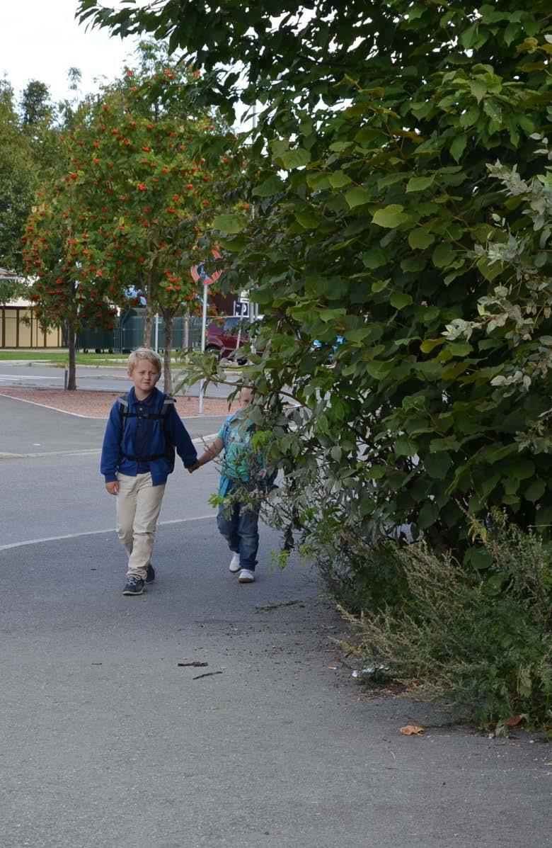 Tilrettelegging for orientering Forutsigbarhet Gangarealer fri for hindringer Overflater som informerer om bruken