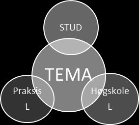 Faglærere i PEL har et særlig ansvar for å informere og forberede studentene på praksisperioden.