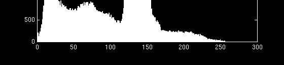 1/γ (Fi 3.6 i DIP).