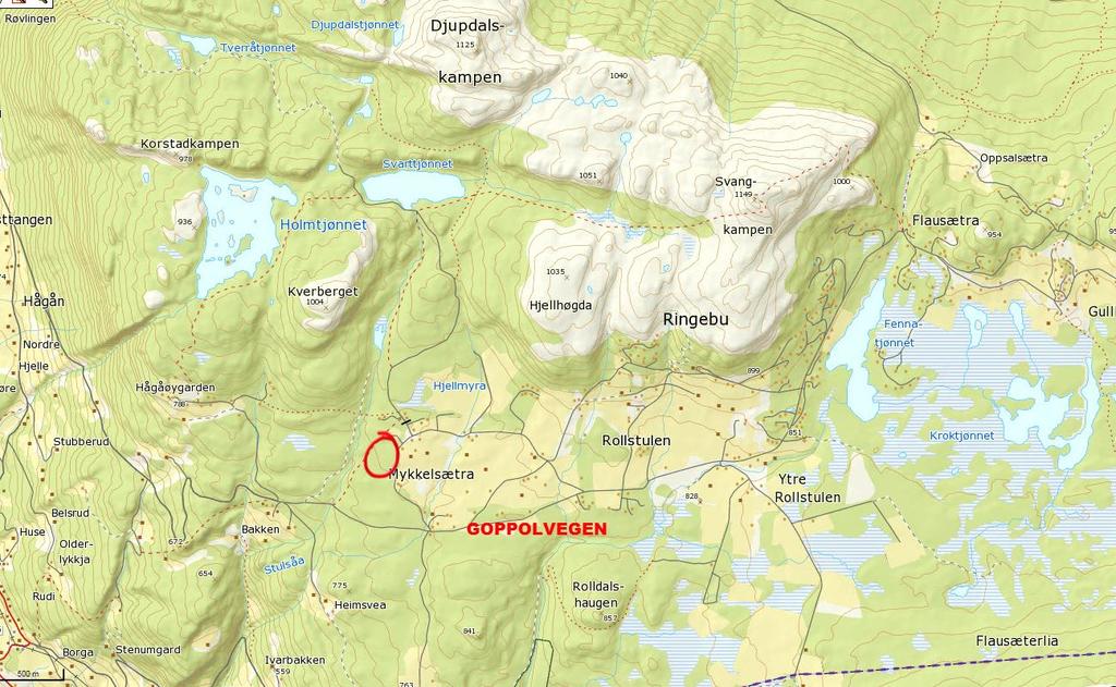 1. BAKGRUNN 1.1 Hensikten med planarbeidet Hensikten med planforslaget er å legge til rette for fritidsbebyggelse med vegadkomster for område markert som H6 i kommunedelplan for Fåvangfjellet.