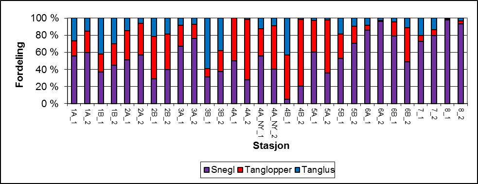 Figur 13. Fordeling mellom snegl, tanglopper og tanglus funnet i de tre taufellene fra hvert dyp på hver stasjon undersøkt i 2010.