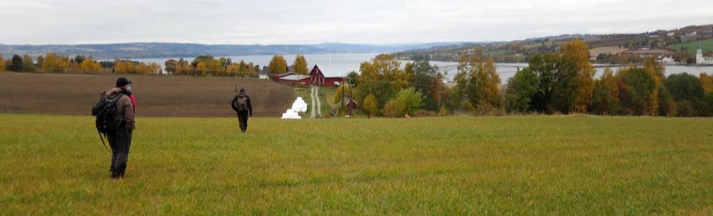 Slipp 18: ES Sjakk ES Twist. I et noe trangt område med tette interessante kantsoner fortsetter disse hundene meget godt. De veksler om føringen og settes likt.