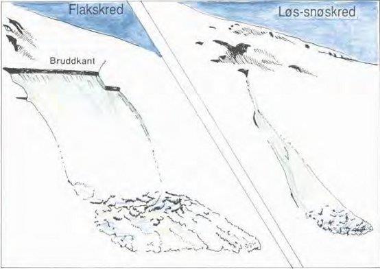 Snøskred Snøskred: en felles betegnelse på snø som av naturlige eller kunstige årsaker har kommet i bevegelse Typer av snøskred - Løssnøskred