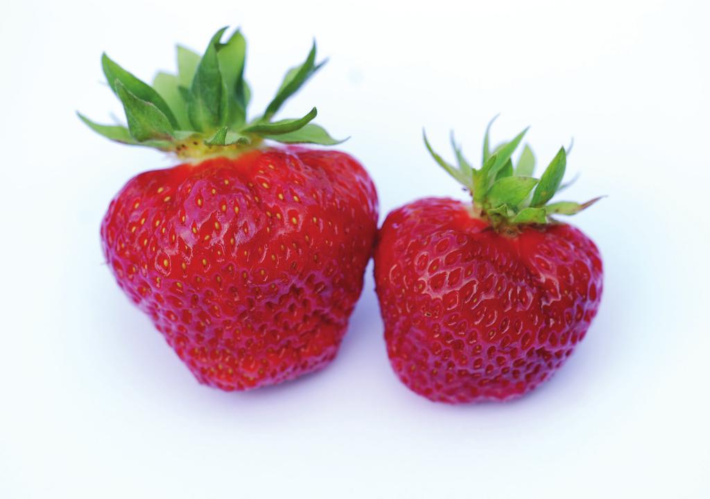 Jordbærplanter 2018 NORGRO AS leverer jordbærplanter av høy kvalitet til norske bærdyrkere.