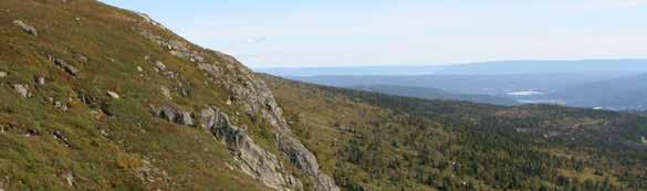 GUIDET FJELLTUR Passer for: 5-75 personer Varighet: 3 timer På Norefjell kan du få spektakulære naturopplevelser og ikke minst nyte en fantastisk utsikt. Vi anbefaler gode tursko og klær. God tur!