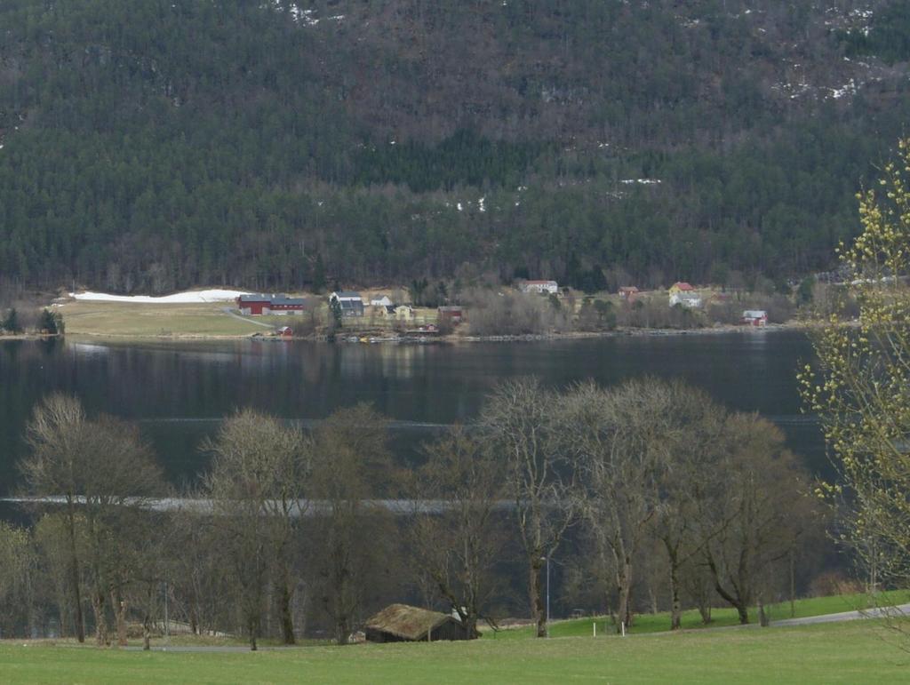 Jorde 1 er nordvendt strandavsetning med varierende vanninnhold og delvis