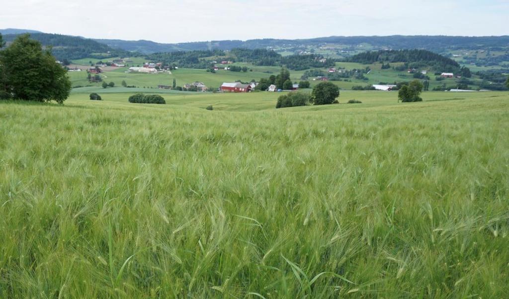 Disposisjon Nitrogen og lystgass Husdyrgjødsel, bondens gull, men