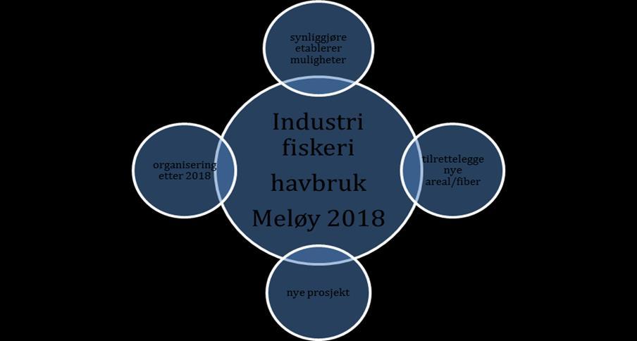 Fokus 2017-2018 Nettverk, klynger, eksterne eiere 1.