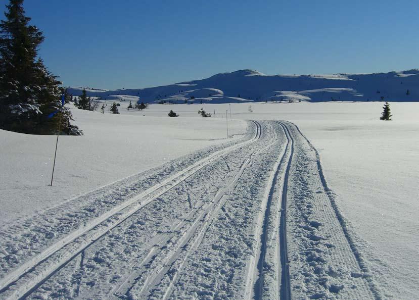 STANDARD Gulv: Skiferfliser på bad/wc og entre, spon i utv bod, ellers massivt behandlet heltre gulv. Vegger: panel Tak: Panel i himling. Kjøkken med hvitevarer. Ferdig utstyrt bad.