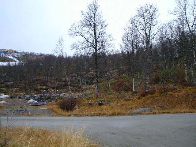 Bildet viser Tb2/T2 3, og er tatt fra atkomstvegen nord for tomtene.