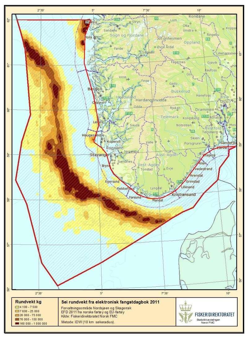 Fangst av sei i 2011