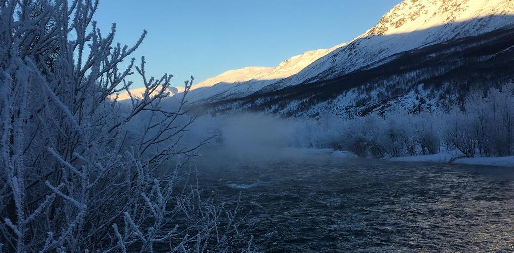 Omfanget er størst nærmest kraftverket, og avtar nedover vassdraget. Omfanget er av TKP betegnet som beskjedent.