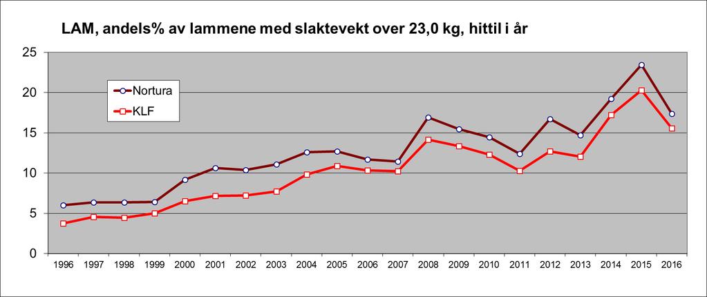 Færre lam over 23