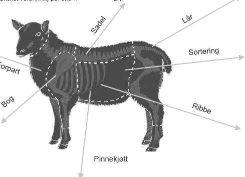 Planar for økt salg i 2017.