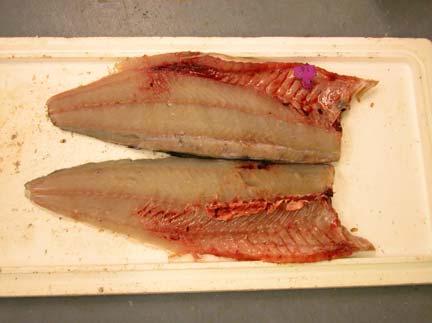 18 Blodfjerning gir bedre utseende på sløyd fisk, mindre misfarging av fileter, hindrer bakterievekst (hvor hem-jern er substrat) og man vil få mindre oksidasjon (jern fremmer oksidasjon) ved