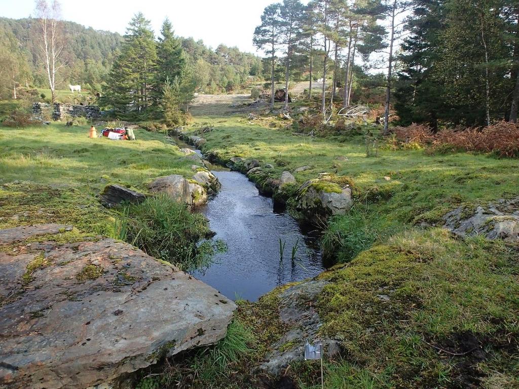 STASJON 9 Dette området ligg ved brua på området som er steinsett langs kantane etter undersøkinga i 2003. Botnen er fast og består av grus og sand.