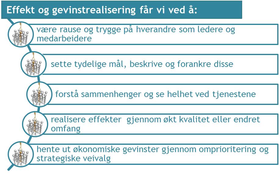 Dette setter krav til mål for effekt og gevinstoppnåelse av utviklingsarbeidet.