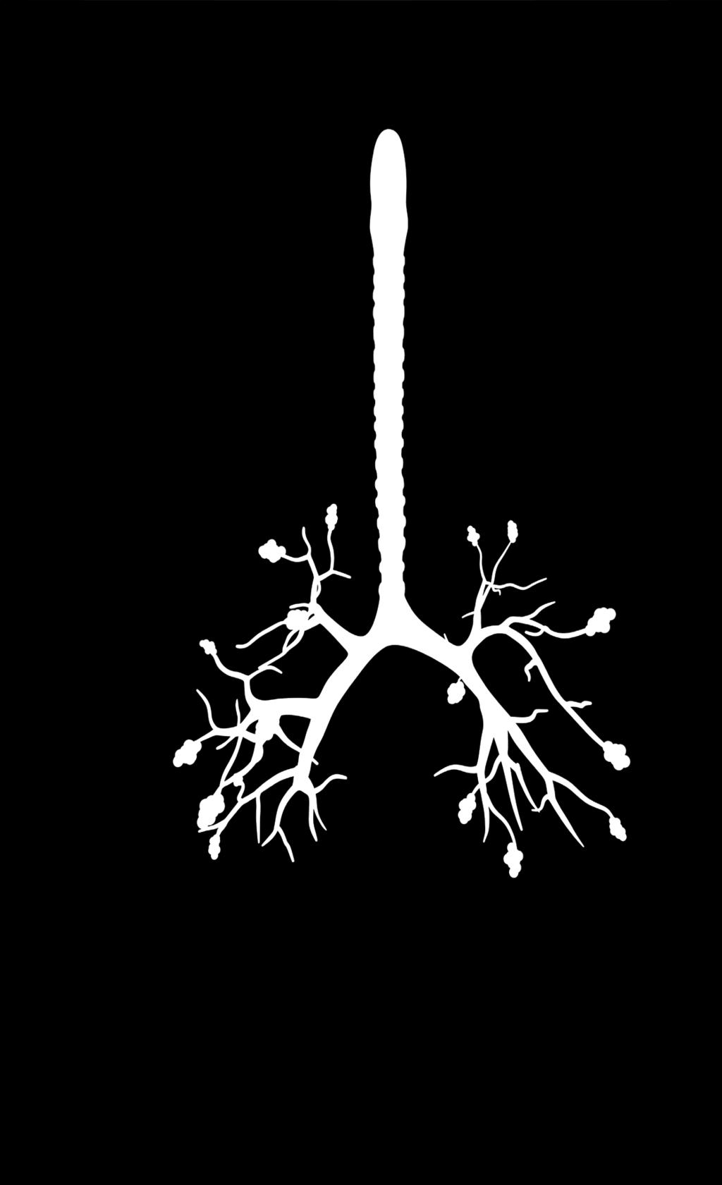celleveggen på alveolene de små lungeblærene hvor syre og