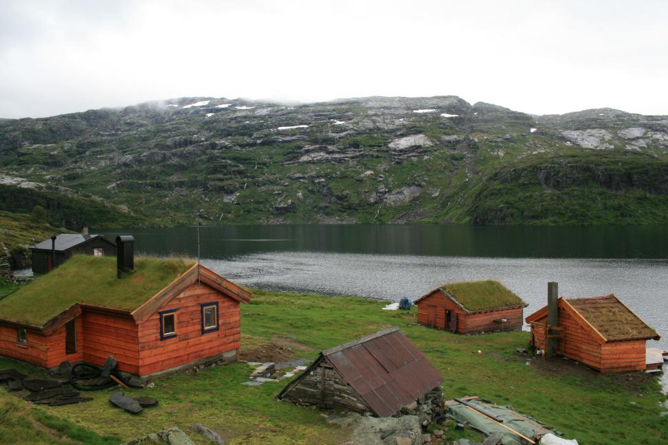 F agrapport F iskeforvaltning i høgfjellet Årgang 1 * Nr 2 * Des 29 * Institutt for naturforvaltning * Universitetet for miljø- og biovitskap