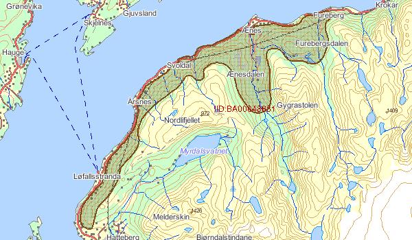 Furuskogen i området er av låg bonitet (Figur 6). Resten av planområdet er uproduktiv skog og nakne berg. Figur 4.