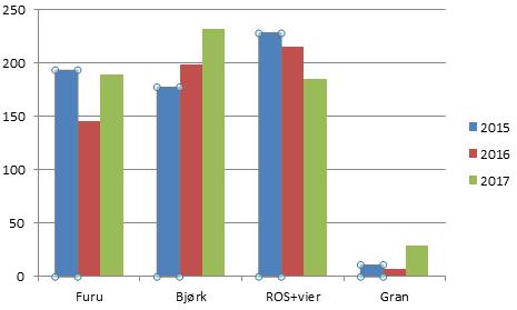 ANTAL TRE PR 5 DAA Furu: Elgen har vert der å eti meir i 2016 enn i 2017 Bjørk: Elgen har eti minder bjørk gjennom åra.