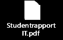 7/17 Studentrapport om IT-rettet kurstilbud ved NHH Arkivsak-dok. 17/00311-2 1 Programutvalget for bachelorutdanningen 07.02.