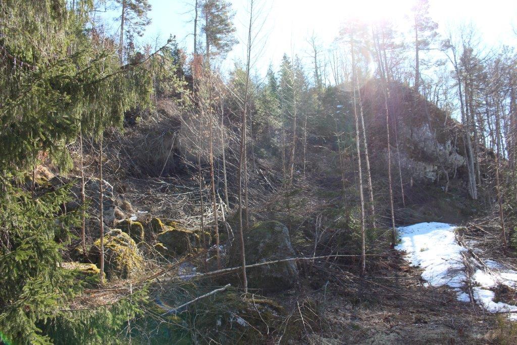 Nærbilde av stein i ura under Nesfjell helt i