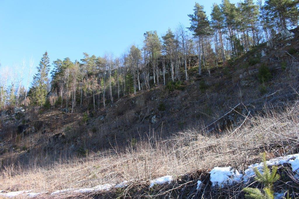 Foto tatt fra adkomstveien sør i campingområdet opp mot Nesfjell i nordøstlig retning.