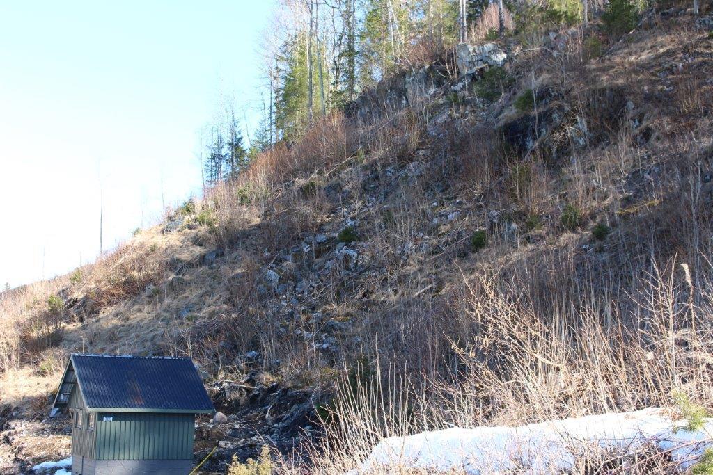 Foto tatt fra adkomstveien (eksistrende sanitæranlegg) sør i campingområdet opp mot Nesfjell i