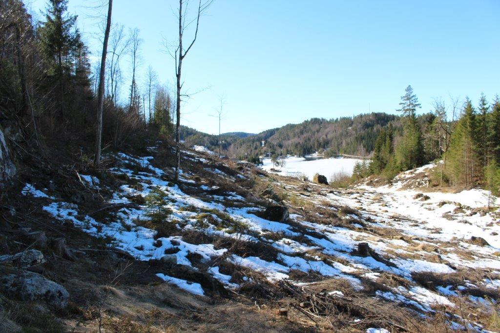 Foto tatt fra Rønningen og i