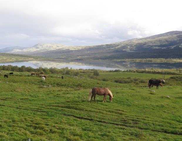 Annet regelverk Naturmangfoldloven REACH