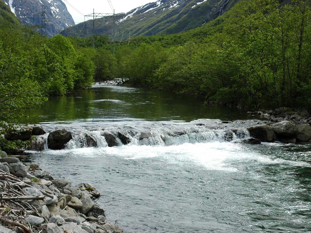 13 Andel gytegroper på ulike strekninger, Litledalselva Prosent 45 4 35 3 25 2 15 1 I% II% III% IV% 5 1991 1992 1993 1994 1995 1996 1997 1998 1999 2 22 23 T Ingen