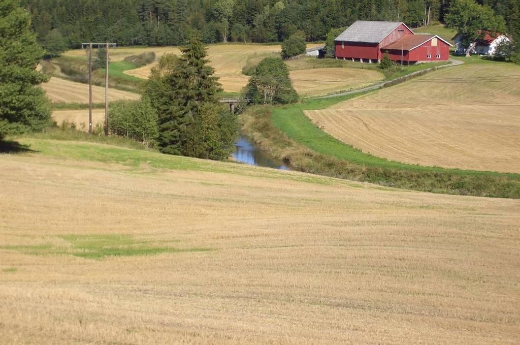 Erfaringsoverføring tiltak andre vassdrag Generelt elver og bekker - Fokuser på: Redusert P-gjødsling Red jordarbeiding i erosjons- og flomutsatte områder