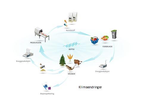 2.1 Strategiske perspektiver Bioøkonomi Framveksten av konseptet bioøkonomi danner det strategiske bakteppet for etableringen av BIONÆR.